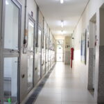 Prefeitura entrega modernização de dependências para animais abrigados
