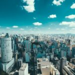 sao paulo capital