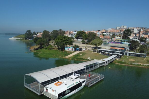 aquático sp