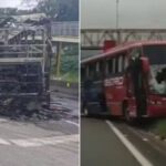 onibus cruzeio x palmeiras