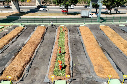 pátio de compostagem na lapa