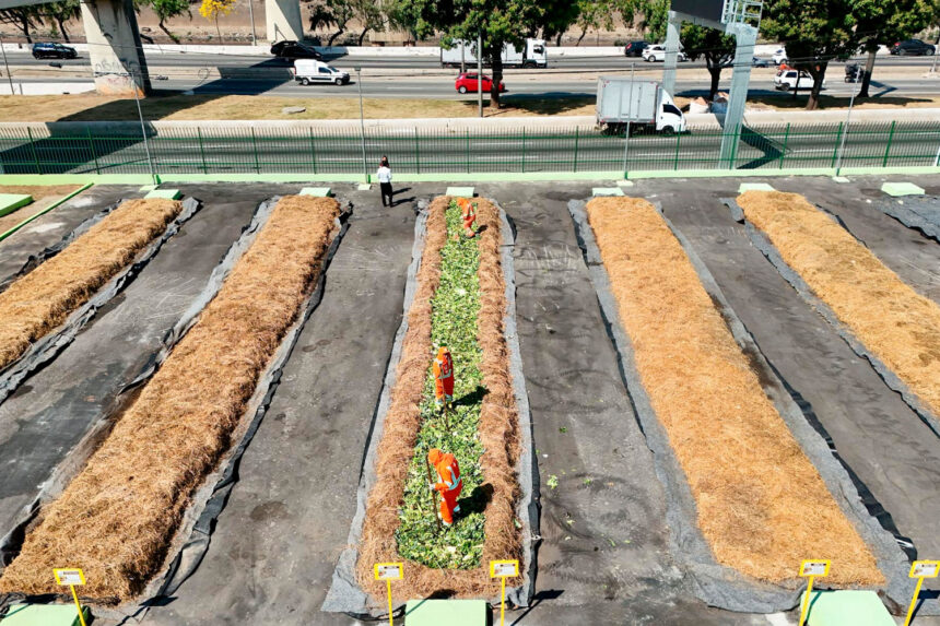 pátio de compostagem na lapa