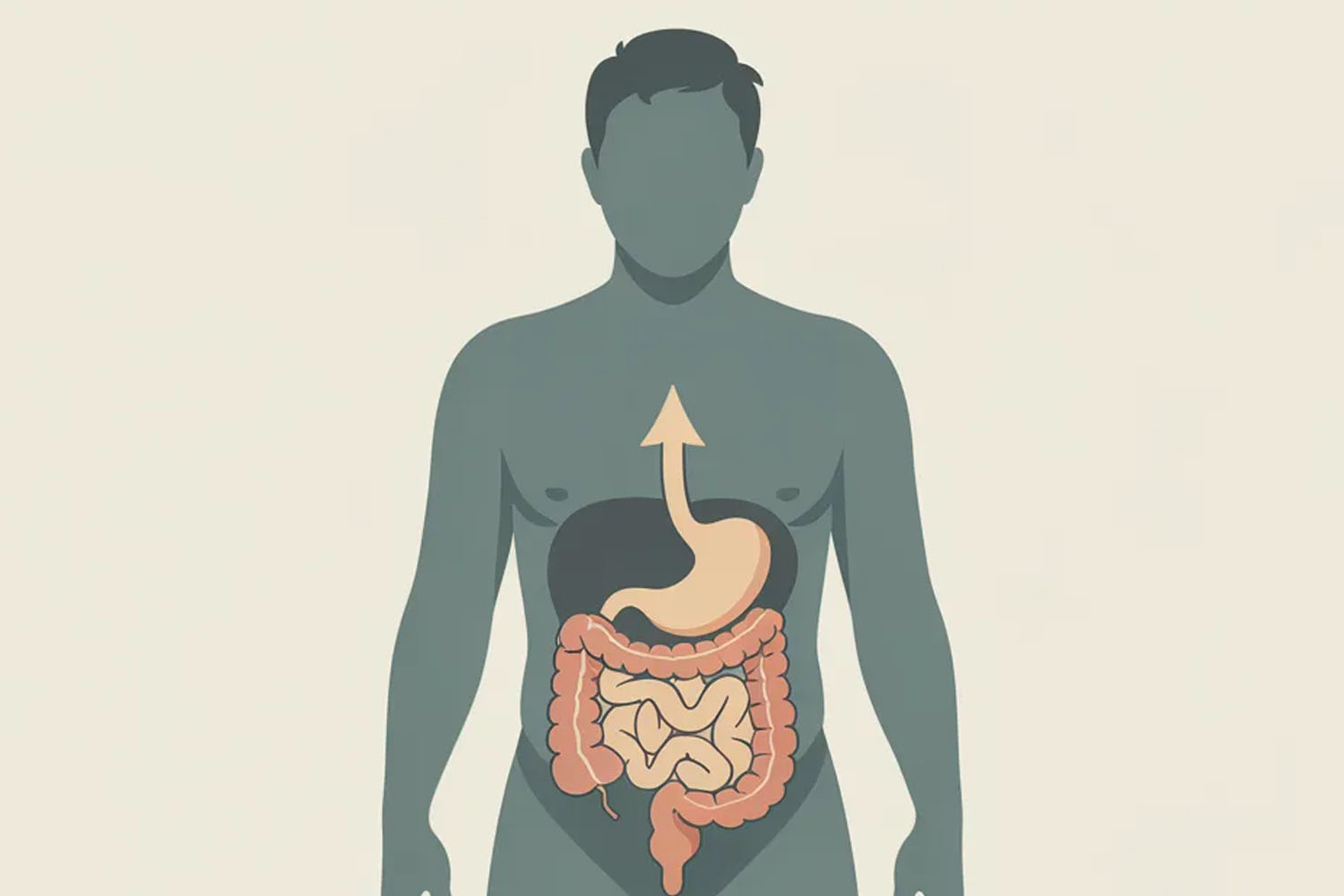 saude medico respiração anus