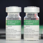 vacina contra dengue butantan